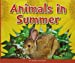 Seller image for Animals in Summer (Welcome, Summer!) [No Binding ] for sale by booksXpress