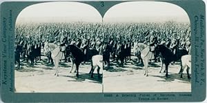 Seller image for Stereo Foto A bristling forest of bayonets, Russian troops on review, I WK - Keystone View Company 3, 18639 for sale by akpool GmbH