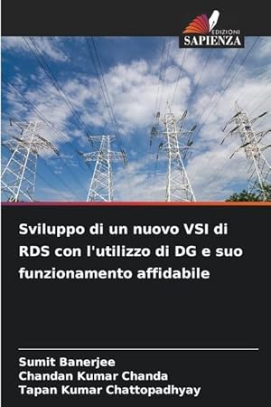 Bild des Verkufers fr Sviluppo di un nuovo VSI di RDS con l utilizzo di DG e suo funzionamento affidabile zum Verkauf von moluna