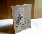 Bild des Verkufers fr Naturgewalten im Hochgebirge. zum Verkauf von Antiquariat Silvanus - Inhaber Johannes Schaefer