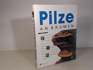 Bild des Verkufers fr Pilze an Bumen. Einfhrung in die kologische Gruppe der holzabbauenden Saprophyten und Parasiten. Lebensweise, Schadwirkung und Bestimmungsmerkmale der hufigsten Pilzarten in totem Holz und lebenden Bumen. zum Verkauf von Antiquariat Silvanus - Inhaber Johannes Schaefer