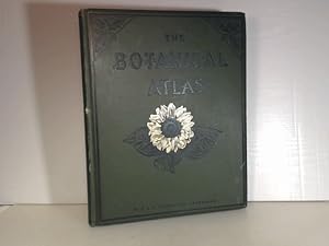 Bild des Verkufers fr The Botanical Atlas. A Guide to the Study of Plants containing Representatives of the Leading Forms of Plant Life with Explanatory Letterpress. Part 1: Cryptogams; Part 2: Phanerogams. zum Verkauf von Antiquariat Silvanus - Inhaber Johannes Schaefer