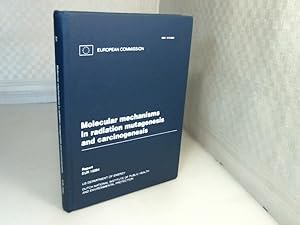 Immagine del venditore per Molecular mechanisms in radiation mutagenesis and carcinogenisis. Proceedings of an international seminar jointly organized by the National Institute of Public Health and Environmental Protection at Bilthoven, the Netherlands, the Office for Health and Environmental Research of the US Department of Energy and the European Commission held in Doorwerth, the Netherlands, from 19 to 22 April 1993. venduto da Antiquariat Silvanus - Inhaber Johannes Schaefer