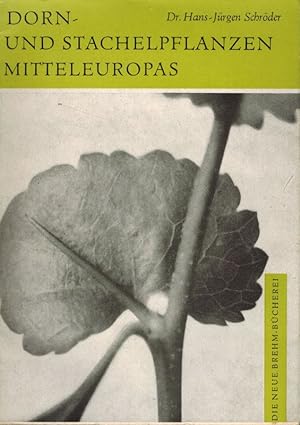 Bild des Verkufers fr Dorn- und Stachelpflanzen Mitteleuropas zum Verkauf von Clivia Mueller