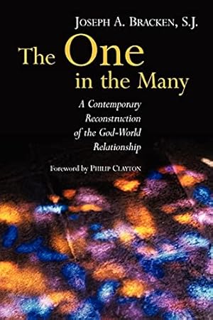 Seller image for The One in the Many: A Contemporary Reconstruction of the God-World Relationship for sale by WeBuyBooks