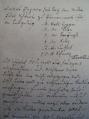 Handschriftliche Anfrage der Theresia Rauchin auf Überlassung eines Landstückes. Datiert Tettnang...