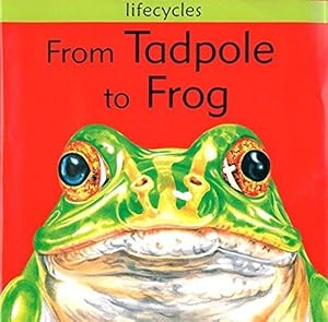 Bild des Verkufers fr From Tadpole To Frog (Lifecycles) zum Verkauf von WeBuyBooks