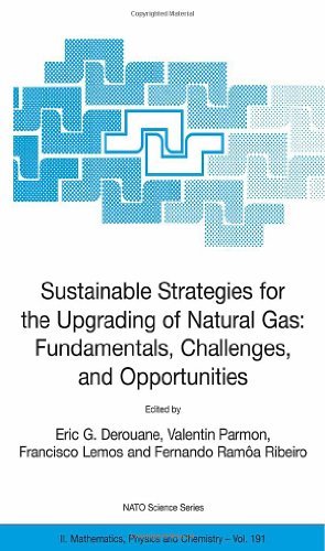 Image du vendeur pour Sustainable Strategies for the Upgrading of Natural Gas: Fundamentals, Challenges, and Opportunities: Proceedings of the NATO Advanced Study . July 6 - 18, 2003 (Nato Science Series II:) [Hardcover ] mis en vente par booksXpress