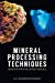 Seller image for Mineral Processing Techniques Basics and Related Issues [Soft Cover ] for sale by booksXpress