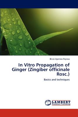 Imagen del vendedor de In Vitro Propagation of Ginger (Zingiber officinale Rosc.) (Paperback or Softback) a la venta por BargainBookStores