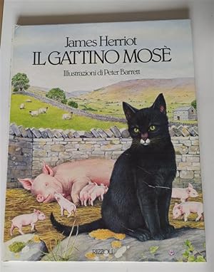 Image du vendeur pour Il Gattino Mose mis en vente par Piazza del Libro