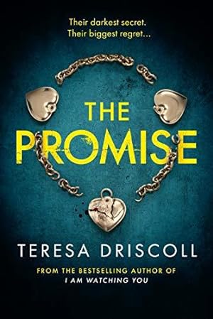 Seller image for The Promise for sale by WeBuyBooks