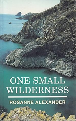 Bild des Verkufers fr One Small Wilderness zum Verkauf von WeBuyBooks