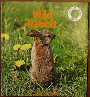 Bild des Verkufers fr The Wild Rabbit zum Verkauf von WeBuyBooks