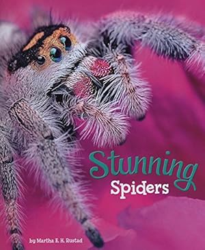 Immagine del venditore per Stunning Spiders (A+ Books: Marvellous Minibeasts!) venduto da WeBuyBooks
