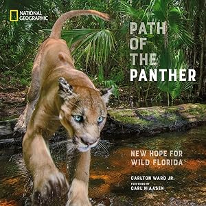 Seller image for Path of the Panther : New Hope for Wild Florida for sale by GreatBookPrices