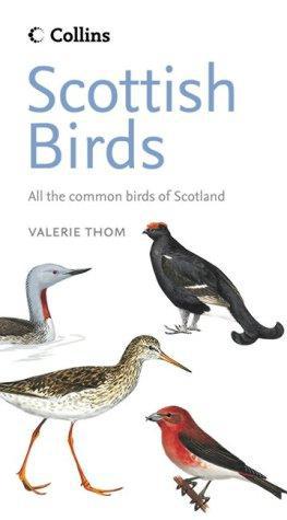 Seller image for Collins Scottish Birds for sale by WeBuyBooks