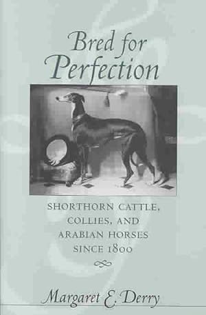 Seller image for Bred for Perfection (Hardcover) for sale by CitiRetail