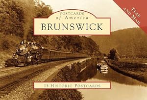 Imagen del vendedor de Brunswick: 15 Historic Postcards (Novelty) a la venta por CitiRetail