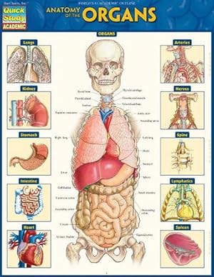 Bild des Verkufers fr Anatomy of the Organs (Loose Leaf) zum Verkauf von CitiRetail