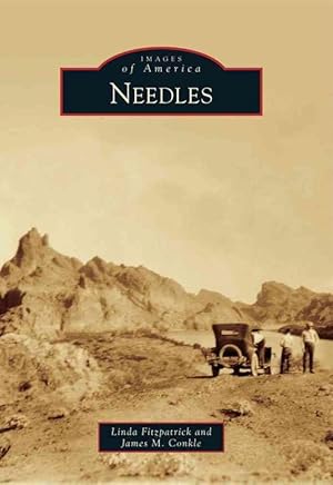 Seller image for Needles (Paperback) for sale by CitiRetail