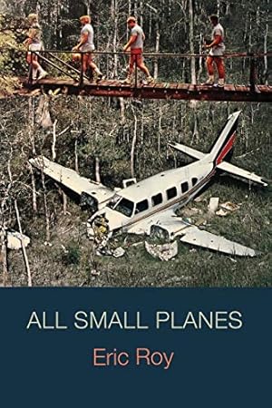 Immagine del venditore per All Small Planes venduto da Reliant Bookstore
