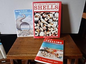 The Collector's Encyclopedia of Shells