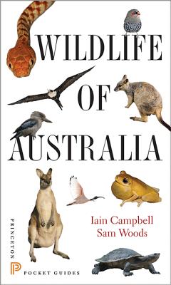 Imagen del vendedor de Wildlife of Australia (Paperback or Softback) a la venta por BargainBookStores