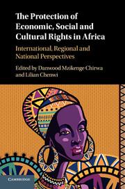 Seller image for The Protection of Economic, Social and Cultural Rights in Africa: International, Regional and National Perspectives for sale by moluna