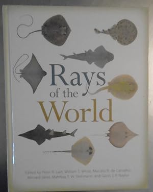 Seller image for Rays of the World for sale by Reus, Paris, Londres