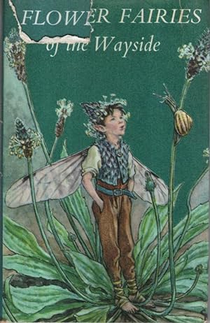Seller image for Flower Fairies of the Wayside for sale by High Street Books