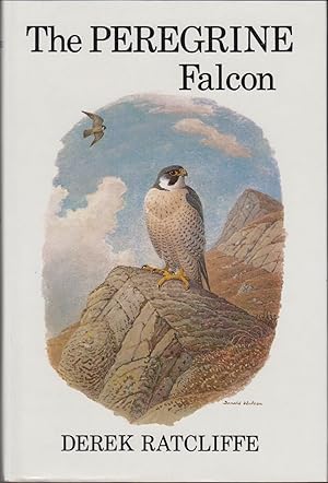 Bild des Verkufers fr THE PEREGRINE FALCON. By Derek Ratcliffe. zum Verkauf von Coch-y-Bonddu Books Ltd