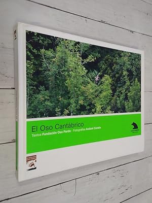 Seller image for El Oso Cantbrico. for sale by Librera Dilogo