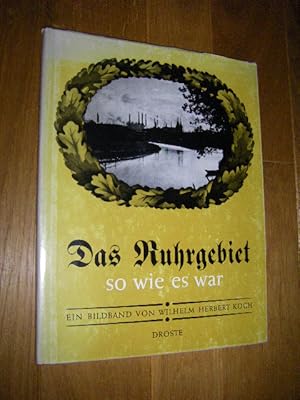 Bild des Verkufers fr Das Ruhrgebiet so wie es war. Ein Bildband der Erinnerung zum Verkauf von Versandantiquariat Rainer Kocherscheidt