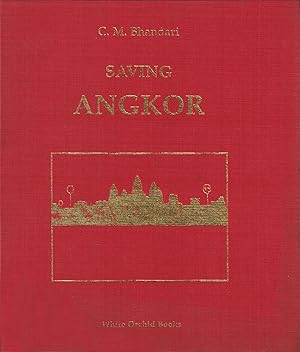 Saving Angkor