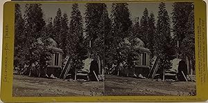Seller image for California - Big Trees. No. 1093. Stump House and But-end of Original Big Tree, diam. 25 feet. Calaveras Co for sale by Ken Sanders Rare Books, ABAA