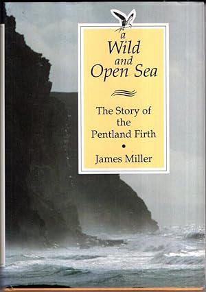 Imagen del vendedor de A Wild and Open Sea a la venta por High Street Books