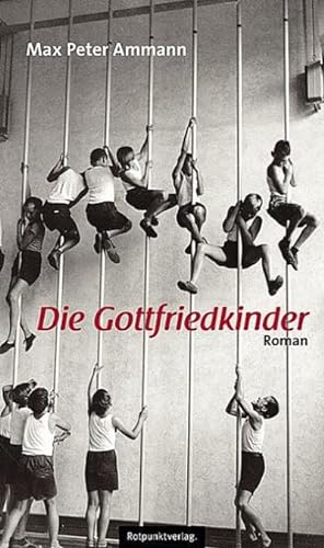 Bild des Verkäufers für Die Gottfriedkinder: Roman zum Verkauf von Rheinberg-Buch Andreas Meier eK