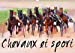 Seller image for Chevaux Et Sport 2018: Serie De 12 Tableaux Pour Mettre En Valeur La Beaute Des Pur Sang En Action. (Calvendo Art) (French Edition) [No Binding ] for sale by booksXpress