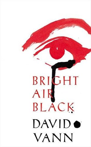 Bild des Verkufers fr Bright Air Black zum Verkauf von WeBuyBooks