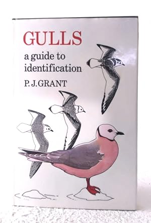 Image du vendeur pour Gulls: a guide to identification mis en vente par Structure, Verses, Agency  Books