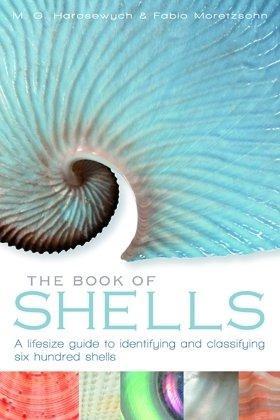 Image du vendeur pour The Book of Shells mis en vente par WeBuyBooks