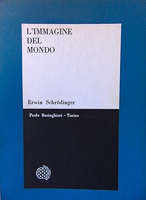 L'immagine del mondo