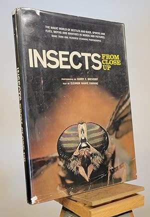 Seller image for Insects From Close Up for sale by Henniker Book Farm and Gifts