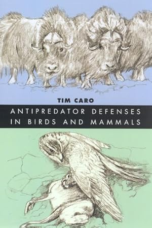 Imagen del vendedor de Antipredator Defenses In Birds And Mammals a la venta por GreatBookPricesUK