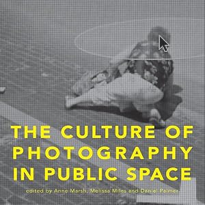 Immagine del venditore per Culture of Photography in Public Space venduto da GreatBookPricesUK