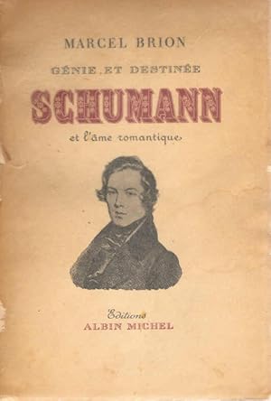 Image du vendeur pour Gnie et destine : Schumann et l'ame romantique mis en vente par Schrmann und Kiewning GbR