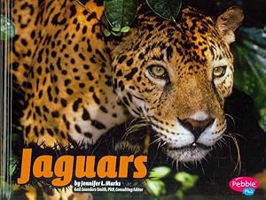 Bild des Verkufers fr Jaguars zum Verkauf von GreatBookPricesUK