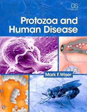 Imagen del vendedor de Protozoa and Human Disease a la venta por GreatBookPricesUK