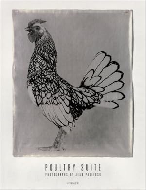Seller image for Poultry Suite : Photographs by Jean Pagliuso for sale by GreatBookPricesUK